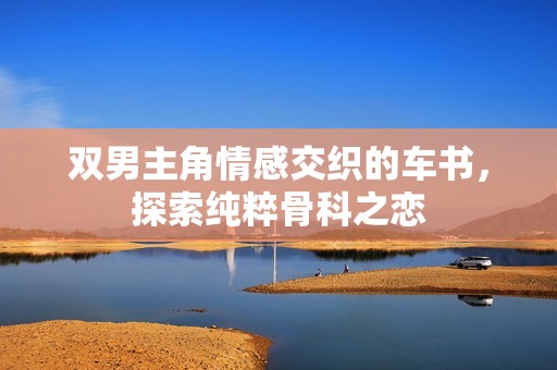 双男主角情感交织的车书，探索纯粹骨科之恋