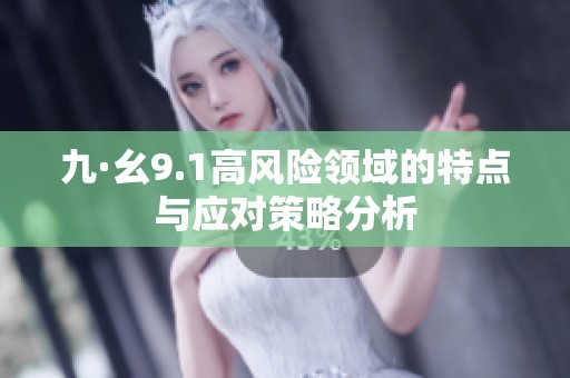 九·幺9.1高风险领域的特点与应对策略分析