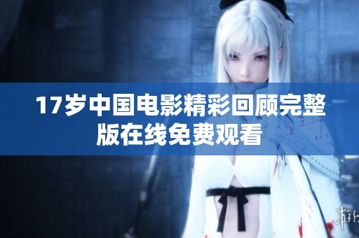 17岁中国电影精彩回顾完整版在线免费观看