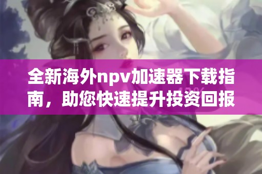 全新海外npv加速器下载指南，助您快速提升投资回报