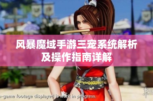 风暴魔域手游三宠系统解析及操作指南详解