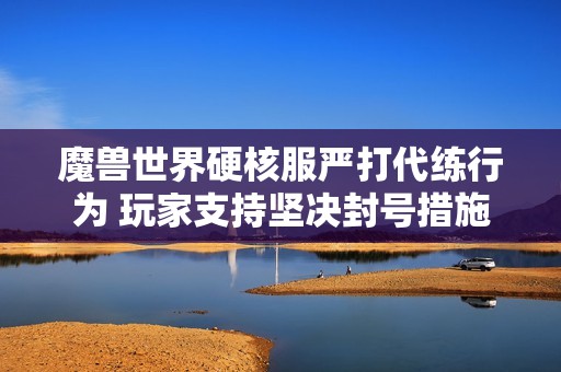魔兽世界硬核服严打代练行为 玩家支持坚决封号措施