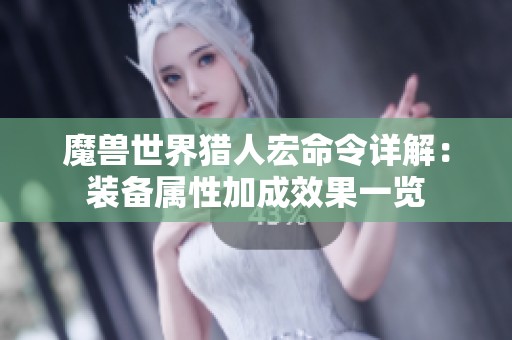 魔兽世界猎人宏命令详解：装备属性加成效果一览