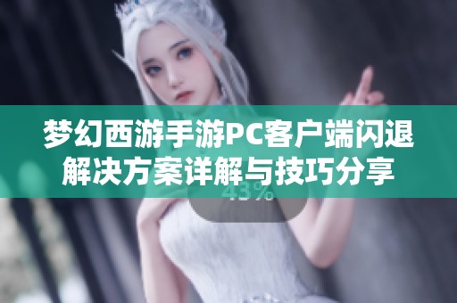 梦幻西游手游PC客户端闪退解决方案详解与技巧分享