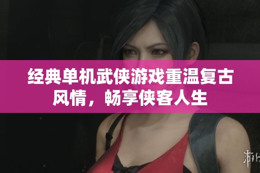 经典单机武侠游戏重温复古风情，畅享侠客人生