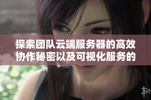 探索团队云端服务器的高效协作秘密以及可视化服务的精彩解析