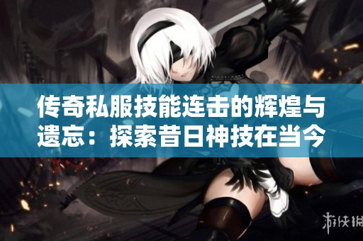 传奇私服技能连击的辉煌与遗忘：探索昔日神技在当今市场中的沉寂之谜