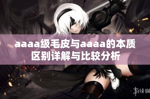 aaaa级毛皮与aaaa的本质区别详解与比较分析