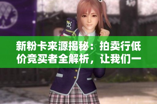 新粉卡来源揭秘：拍卖行低价竞买者全解析，让我们一同探索其中的奥秘！