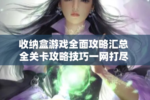 收纳盒游戏全面攻略汇总 全关卡攻略技巧一网打尽 3DM手游分享