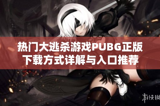 热门大逃杀游戏PUBG正版下载方式详解与入口推荐