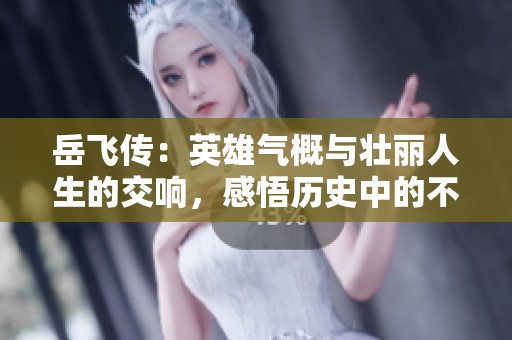 岳飞传：英雄气概与壮丽人生的交响，感悟历史中的不屈与奋斗