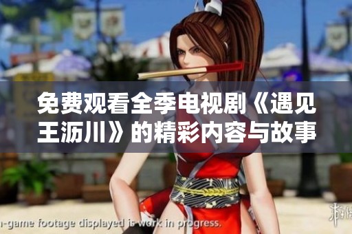 免费观看全季电视剧《遇见王沥川》的精彩内容与故事解析