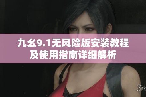 九幺9.1无风险版安装教程及使用指南详细解析