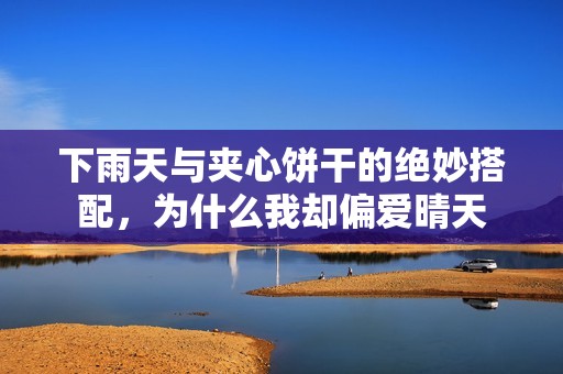 下雨天与夹心饼干的绝妙搭配，为什么我却偏爱晴天