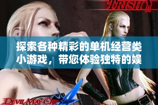 探索各种精彩的单机经营类小游戏，带您体验独特的娱乐乐趣与策略挑战