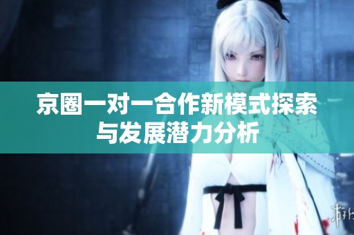 京圈一对一合作新模式探索与发展潜力分析
