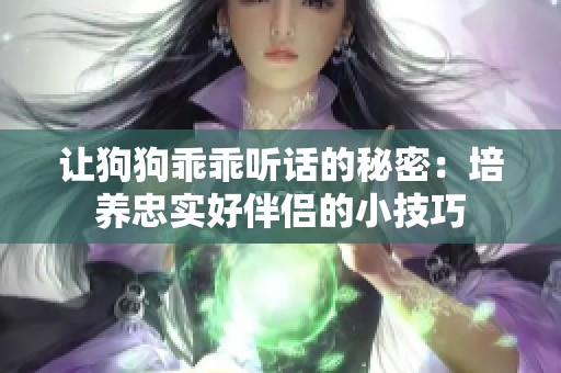 让狗狗乖乖听话的秘密：培养忠实好伴侣的小技巧