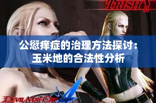 公愆痒症的治理方法探讨：玉米地的合法性分析