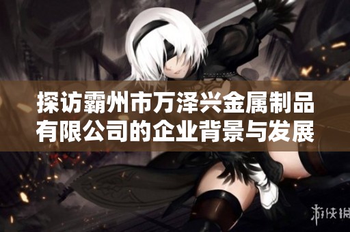 探访霸州市万泽兴金属制品有限公司的企业背景与发展动态分析