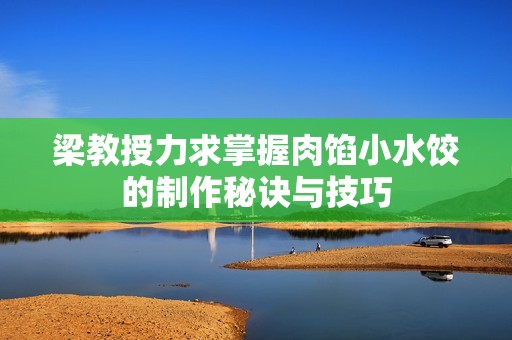 梁教授力求掌握肉馅小水饺的制作秘诀与技巧