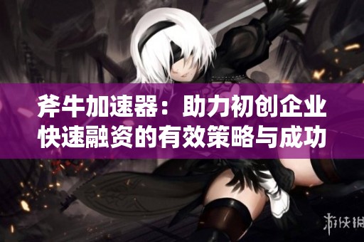 斧牛加速器：助力初创企业快速融资的有效策略与成功案例探讨