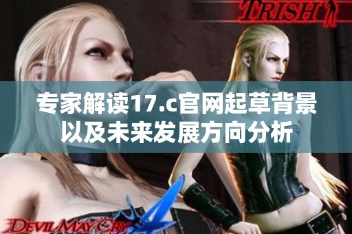 专家解读17.c官网起草背景以及未来发展方向分析