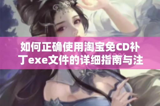 如何正确使用淘宝免CD补丁exe文件的详细指南与注意事项