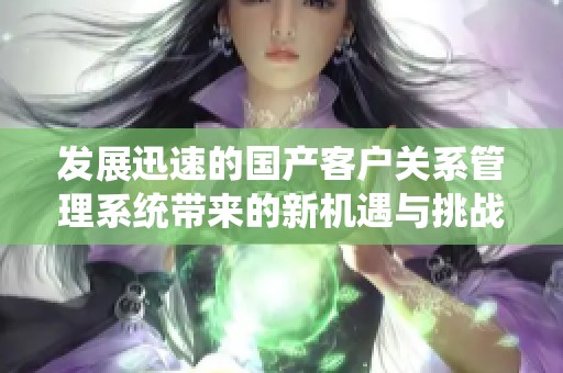 发展迅速的国产客户关系管理系统带来的新机遇与挑战