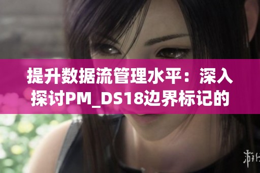 提升数据流管理水平：深入探讨PM_DS18边界标记的高级应用技巧与实践方法