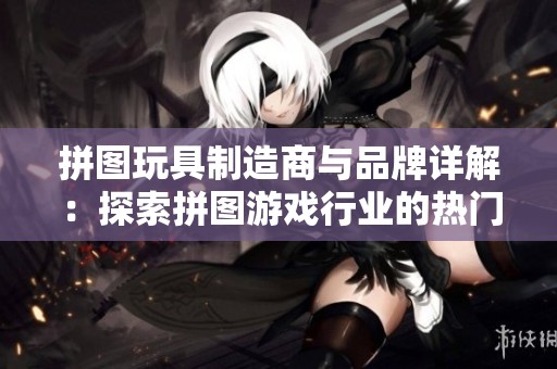 拼图玩具制造商与品牌详解：探索拼图游戏行业的热门产品与图片展示