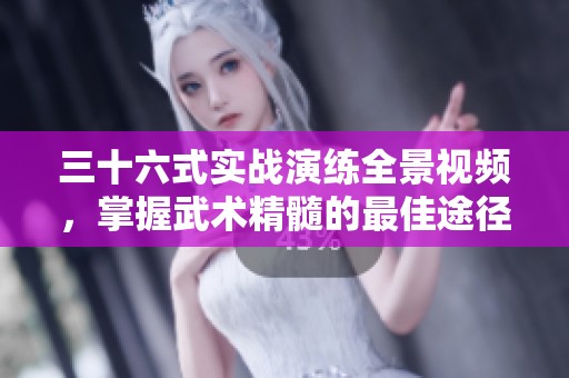 三十六式实战演练全景视频，掌握武术精髓的最佳途径