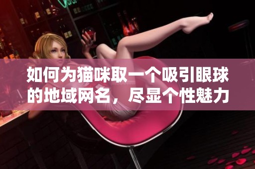 如何为猫咪取一个吸引眼球的地域网名，尽显个性魅力