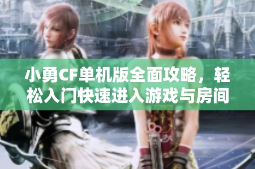 小勇CF单机版全面攻略，轻松入门快速进入游戏与房间的实用教程
