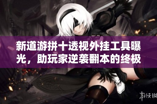 新道游拼十透视外挂工具曝光，助玩家逆袭翻本的终极助手介绍
