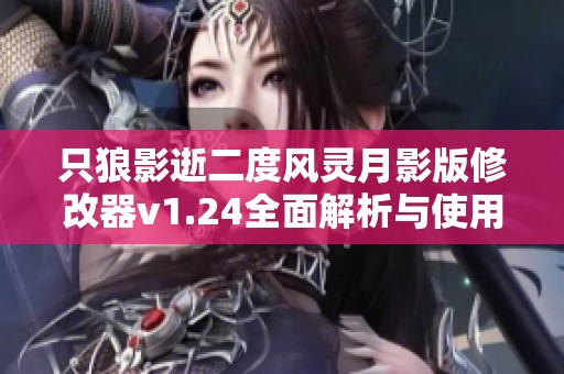 只狼影逝二度风灵月影版修改器v1.24全面解析与使用指南