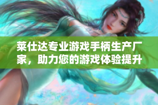 莱仕达专业游戏手柄生产厂家，助力您的游戏体验提升