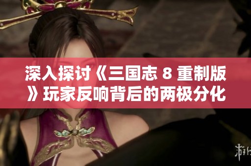 深入探讨《三国志 8 重制版》玩家反响背后的两极分化现象