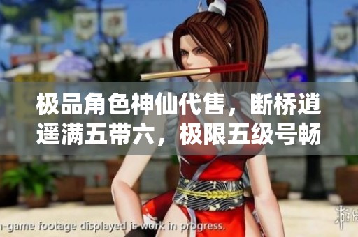 极品角色神仙代售，断桥逍遥满五带六，极限五级号畅玩副本与对战