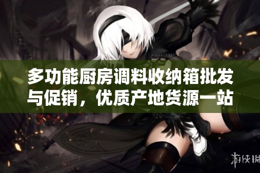 多功能厨房调料收纳箱批发与促销，优质产地货源一站式采购解决方案