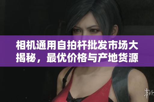 相机通用自拍杆批发市场大揭秘，最优价格与产地货源一览