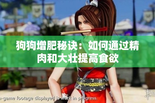 狗狗增肥秘诀：如何通过精肉和大壮提高食欲