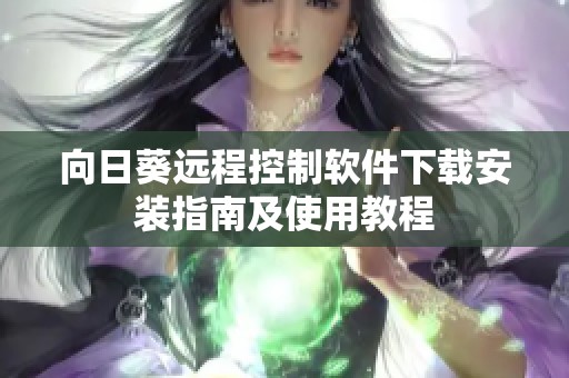 向日葵远程控制软件下载安装指南及使用教程