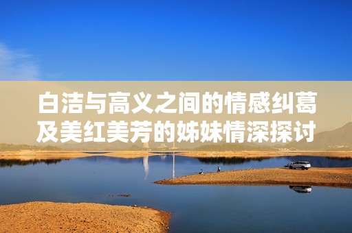 白洁与高义之间的情感纠葛及美红美芳的姊妹情深探讨