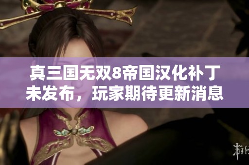真三国无双8帝国汉化补丁未发布，玩家期待更新消息