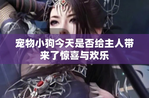 宠物小狗今天是否给主人带来了惊喜与欢乐