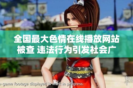 全国最大色情在线播放网站被查 违法行为引发社会广泛关注