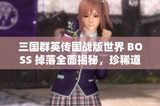 三国群英传国战版世界 BOSS 掉落全面揭秘，珍稀道具震撼登场