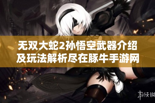 无双大蛇2孙悟空武器介绍及玩法解析尽在豚牛手游网
