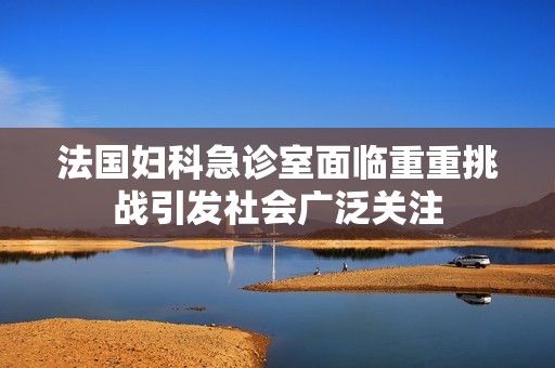 法国妇科急诊室面临重重挑战引发社会广泛关注